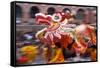 Chinese Dragon Dancing on New Year's Eve, Macau, China-Dallas and John Heaton-Framed Stretched Canvas