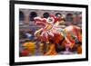 Chinese Dragon Dancing on New Year's Eve, Macau, China-Dallas and John Heaton-Framed Photographic Print