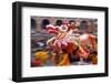 Chinese Dragon Dancing on New Year's Eve, Macau, China-Dallas and John Heaton-Framed Photographic Print