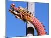 Chinese Dragon in Chinatown, Seattle, Washington, USA-null-Mounted Photographic Print