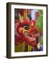 Chinese Dragon, Kuala Lumpur, Malaysia-Jon Arnold-Framed Photographic Print