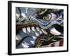 Chinese Dragon, Nagasaki, Kyushu, Japan-Walter Bibikow-Framed Photographic Print