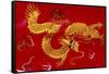 Chinese Dragon, Shenzen, China-Dallas and John Heaton-Framed Stretched Canvas