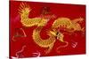 Chinese Dragon, Shenzen, China-Dallas and John Heaton-Stretched Canvas