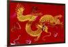 Chinese Dragon, Shenzen, China-Dallas and John Heaton-Framed Photographic Print