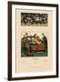 Chinese Empress, Imperial Wife, and Servant-Racinet-Framed Art Print