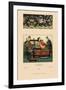 Chinese Empress, Imperial Wife, and Servant-Racinet-Framed Art Print