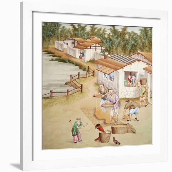 Chinese Farmers Sieving Rice-null-Framed Giclee Print