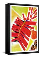 Chinese Fire Crackers-Frank Mcintosh-Framed Stretched Canvas