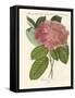 Chinese Flowers-null-Framed Stretched Canvas