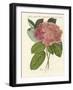 Chinese Flowers-null-Framed Giclee Print