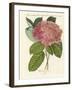 Chinese Flowers-null-Framed Giclee Print