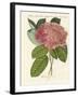 Chinese Flowers-null-Framed Giclee Print