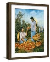 Chinese Food Production: Ripe Tomatoes, 1959-Chinese Photographer-Framed Giclee Print