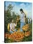 Chinese Food Production: Ripe Tomatoes, 1959-Chinese Photographer-Stretched Canvas
