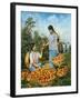 Chinese Food Production: Ripe Tomatoes, 1959-Chinese Photographer-Framed Giclee Print