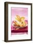 Chinese Fortune Cookies with Motto-Marc O^ Finley-Framed Photographic Print
