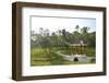 Chinese Garden Pavilion-sevenke-Framed Photographic Print