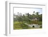 Chinese Garden Pavilion-sevenke-Framed Photographic Print