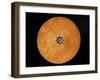 Chinese Geomantic Compass and Perpetual Calendar-Science Source-Framed Photographic Print