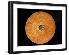 Chinese Geomantic Compass and Perpetual Calendar-Science Source-Framed Photographic Print