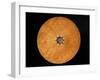 Chinese Geomantic Compass and Perpetual Calendar-Science Source-Framed Photographic Print