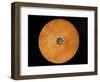 Chinese Geomantic Compass and Perpetual Calendar-Science Source-Framed Photographic Print