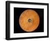 Chinese Geomantic Compass and Perpetual Calendar-Science Source-Framed Photographic Print