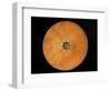 Chinese Geomantic Compass and Perpetual Calendar-Science Source-Framed Photographic Print