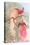 Chinese Golden Pheasants-null-Stretched Canvas