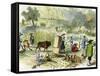 Chinese Harvest, Hong Kong, C1875-null-Framed Stretched Canvas