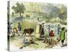 Chinese Harvest, Hong Kong, C1875-null-Stretched Canvas