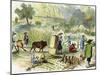 Chinese Harvest, Hong Kong, C1875-null-Mounted Giclee Print