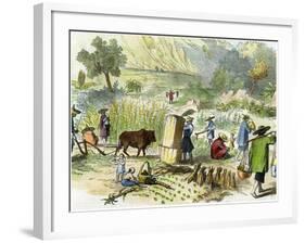 Chinese Harvest, Hong Kong, C1875-null-Framed Giclee Print