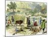 Chinese Harvest, Hong Kong, C1875-null-Mounted Giclee Print