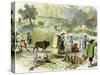 Chinese Harvest, Hong Kong, C1875-null-Stretched Canvas