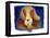 Chinese Horoscope: the Dog's Sign.-Patrizia La Porta-Framed Stretched Canvas