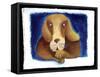 Chinese Horoscope: the Dog's Sign.-Patrizia La Porta-Framed Stretched Canvas