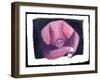 Chinese Horoscope: the Sign of Pork.-Patrizia La Porta-Framed Giclee Print