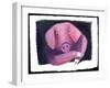 Chinese Horoscope: the Sign of Pork.-Patrizia La Porta-Framed Giclee Print