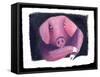 Chinese Horoscope: the Sign of Pork.-Patrizia La Porta-Framed Stretched Canvas