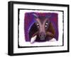 Chinese Horoscope: the Sign of the Horse.-Patrizia La Porta-Framed Giclee Print