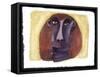 Chinese Horoscope: the Sign of the Monkey.-Patrizia La Porta-Framed Stretched Canvas