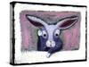 Chinese Horoscope: the Sign of the Rabbit.-Patrizia La Porta-Stretched Canvas