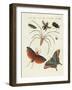 Chinese Insects-null-Framed Giclee Print