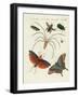 Chinese Insects-null-Framed Giclee Print