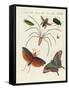 Chinese Insects-null-Framed Stretched Canvas