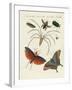 Chinese Insects-null-Framed Giclee Print