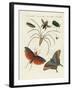 Chinese Insects-null-Framed Giclee Print