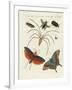 Chinese Insects-null-Framed Giclee Print